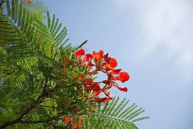 时间穿梭！解谜冒险游戏《遗忘之城》今日发布！